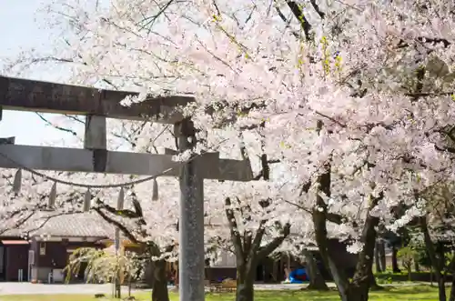 守りの神　藤基神社の鳥居