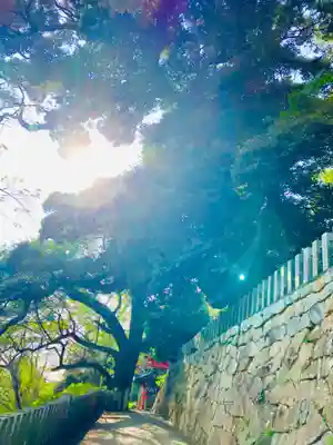 楽法寺(雨引観音)(茨城県)