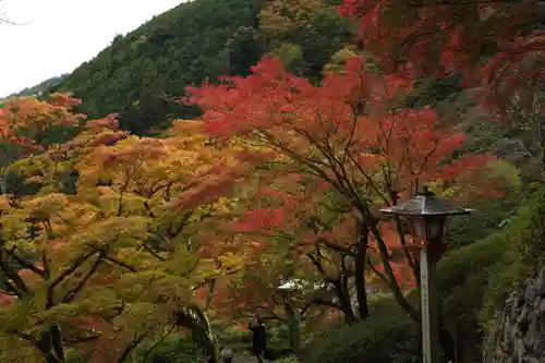 善峯寺(京都府)