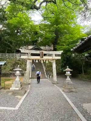 事任八幡宮の{uncategorized: "未分類", other: "その他", undefined: "問題あり", building: "その他建物", grave: "お墓", sacred_gate: "鳥居", guardian: "狛犬", statue: "像", buddha: "仏像", history: "歴史", nature: "自然", garden: "庭園", animal: "動物", pagoda: "塔", temizu: "手水舎", mountain_gate: "山門・神門", sanctuary: "本殿・本堂", subordinate: "末社・摂社", art: "芸術", scenery: "景色", jizo: "地蔵", ema: "絵馬", goshuin: "御朱印", omikuji: "おみくじ", items: "授与品その他", amulet: "お守り", goshuincho: "御朱印帳", eats: "食事", festival: "お祭り", votive_dance: "神楽", shichigosan: "七五三参", wedding: "結婚式", experience: "体験その他", initially: "初詣", around: "周辺", anti_infection: "感染症対策"}