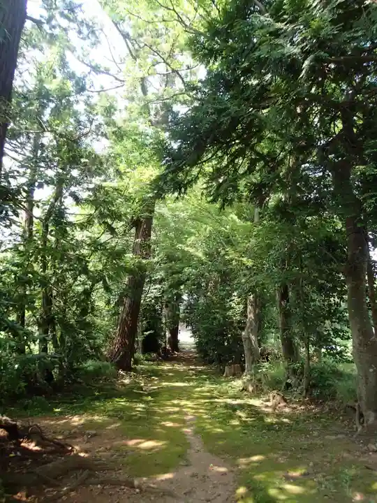 大膳神社の自然