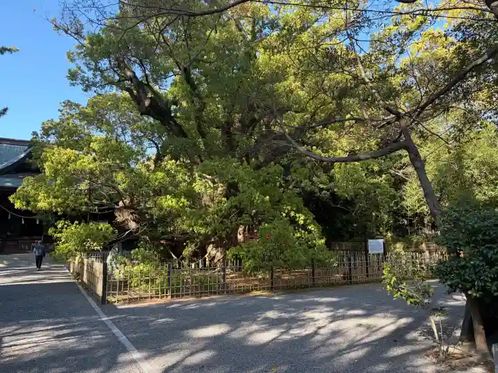 浜松八幡宮の{uncategorized: "未分類", other: "その他", undefined: "問題あり", building: "その他建物", grave: "お墓", sacred_gate: "鳥居", guardian: "狛犬", statue: "像", buddha: "仏像", history: "歴史", nature: "自然", garden: "庭園", animal: "動物", pagoda: "塔", temizu: "手水舎", mountain_gate: "山門・神門", sanctuary: "本殿・本堂", subordinate: "末社・摂社", art: "芸術", scenery: "景色", jizo: "地蔵", ema: "絵馬", goshuin: "御朱印", omikuji: "おみくじ", items: "授与品その他", amulet: "お守り", goshuincho: "御朱印帳", eats: "食事", festival: "お祭り", votive_dance: "神楽", shichigosan: "七五三参", wedding: "結婚式", experience: "体験その他", initially: "初詣", around: "周辺", anti_infection: "感染症対策"}