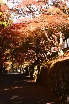 曼殊院門跡(京都府)