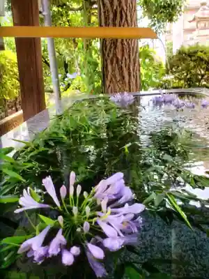 桜神宮(東京都)