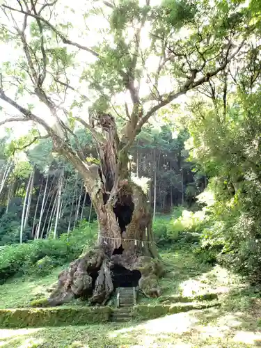武雄神社(佐賀県)