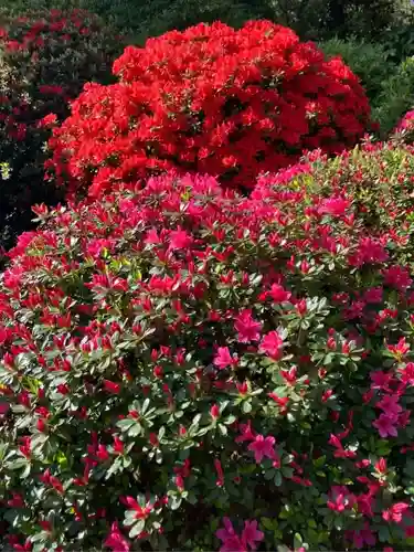 根津神社(東京都)