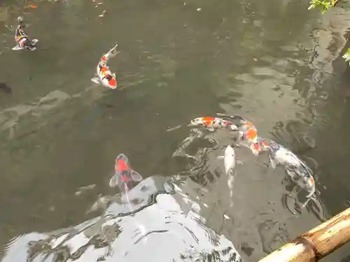 子安神社の庭園