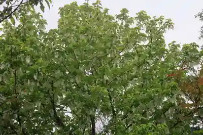 古峯神社の庭園