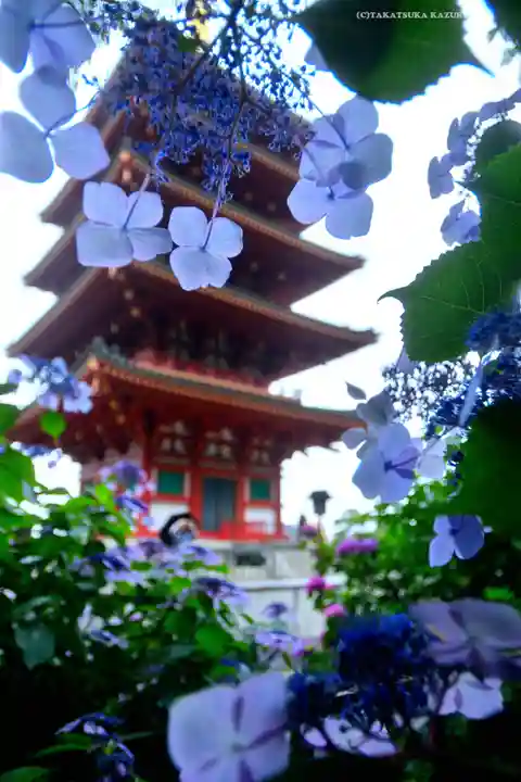 高幡不動尊 金剛寺(東京都)