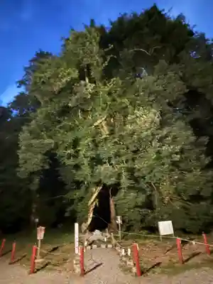 伊佐須美神社(福島県)