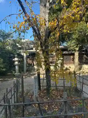 御霊神社（上御霊神社）(京都府)