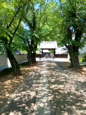 大興寺の{uncategorized: "未分類", other: "その他", undefined: "問題あり", building: "その他建物", grave: "お墓", sacred_gate: "鳥居", guardian: "狛犬", statue: "像", buddha: "仏像", history: "歴史", nature: "自然", garden: "庭園", animal: "動物", pagoda: "塔", temizu: "手水舎", mountain_gate: "山門・神門", sanctuary: "本殿・本堂", subordinate: "末社・摂社", art: "芸術", scenery: "景色", jizo: "地蔵", ema: "絵馬", goshuin: "御朱印", omikuji: "おみくじ", items: "授与品その他", amulet: "お守り", goshuincho: "御朱印帳", eats: "食事", festival: "お祭り", votive_dance: "神楽", shichigosan: "七五三参", wedding: "結婚式", experience: "体験その他", initially: "初詣", around: "周辺", anti_infection: "感染症対策"}