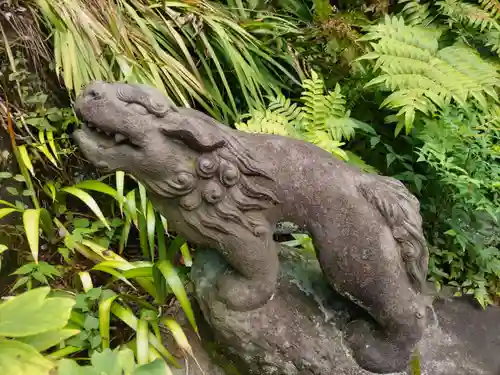 玉川神社の狛犬