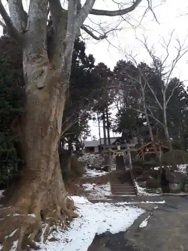 立木八幡神社のその他建物