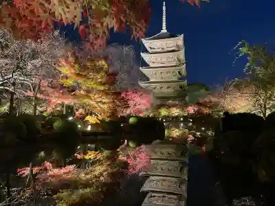 東寺（教王護国寺）(京都府)