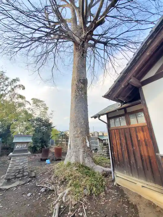 天津戸隠神社(栃木県)