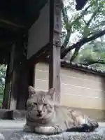 長岳寺(奈良県)