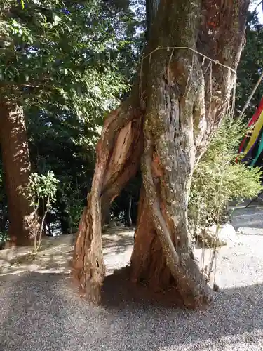 鸕宮神社(三重県)