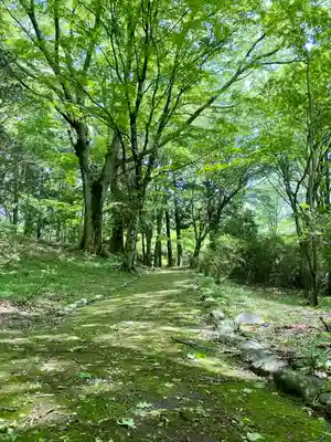 九頭龍神社本宮の周辺