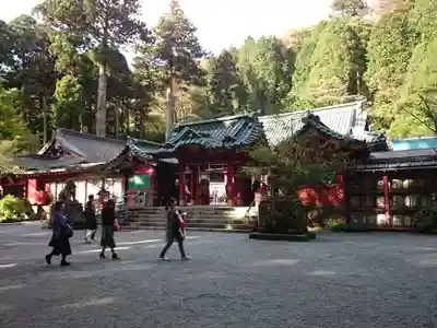 箱根神社の本殿・本堂