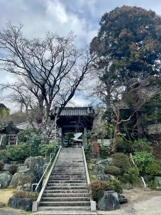 薬王寺の{uncategorized: "未分類", other: "その他", undefined: "問題あり", building: "その他建物", grave: "お墓", sacred_gate: "鳥居", guardian: "狛犬", statue: "像", buddha: "仏像", history: "歴史", nature: "自然", garden: "庭園", animal: "動物", pagoda: "塔", temizu: "手水舎", mountain_gate: "山門・神門", sanctuary: "本殿・本堂", subordinate: "末社・摂社", art: "芸術", scenery: "景色", jizo: "地蔵", ema: "絵馬", goshuin: "御朱印", omikuji: "おみくじ", items: "授与品その他", amulet: "お守り", goshuincho: "御朱印帳", eats: "食事", festival: "お祭り", votive_dance: "神楽", shichigosan: "七五三参", wedding: "結婚式", experience: "体験その他", initially: "初詣", around: "周辺", anti_infection: "感染症対策"}