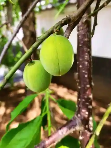 圓照寺(東京都)