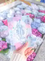 桜神宮の御朱印