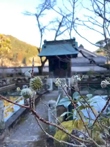 金剛城寺のその他建物