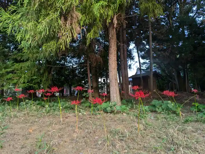 伏木香取神社(茨城県)