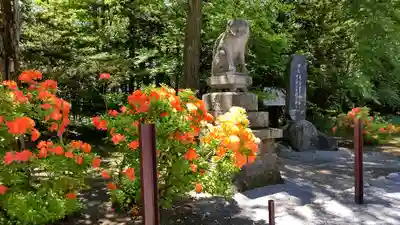 比布神社の狛犬