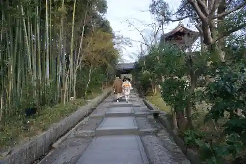 高台寺（高台寿聖禅寺・高臺寺）のその他建物