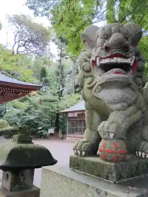 麻賀多神社(千葉県)