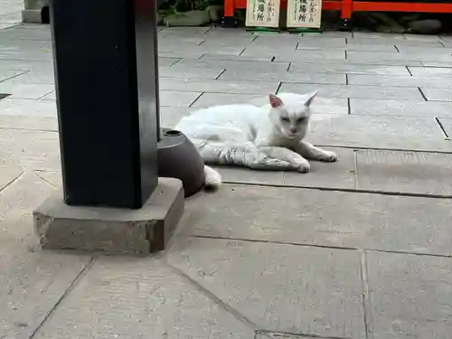 愛宕神社(東京都)