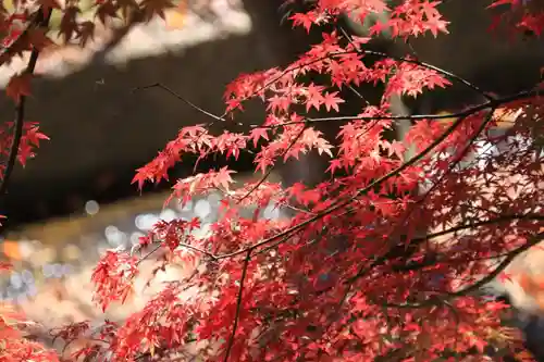 田村神社の庭園