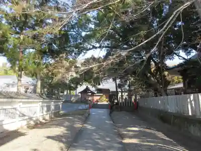 金泉寺(徳島県)