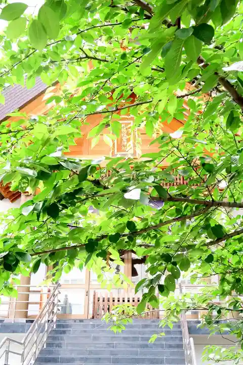 札幌祖霊神社の自然