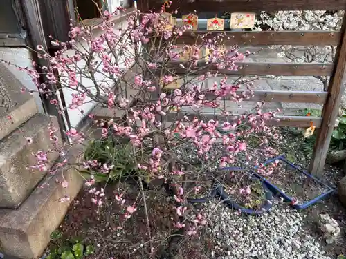 持明院(大阪府)