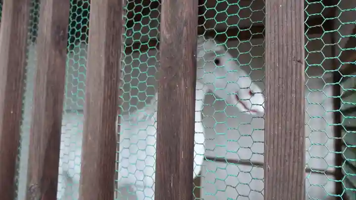 治田神社下の宮(長野県)