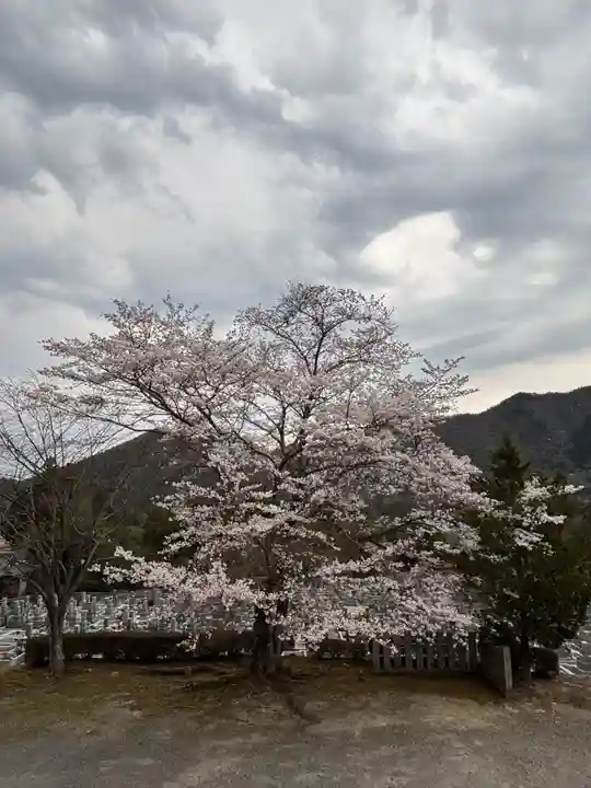 和田寺(兵庫県)