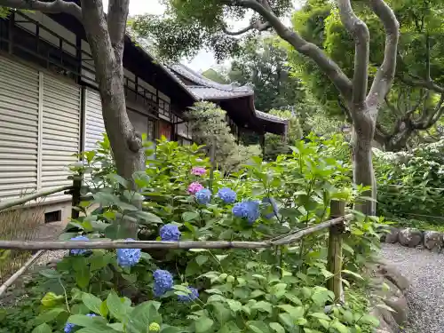 頼光寺(兵庫県)