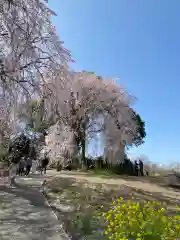 本佛寺別院　法華原の自然