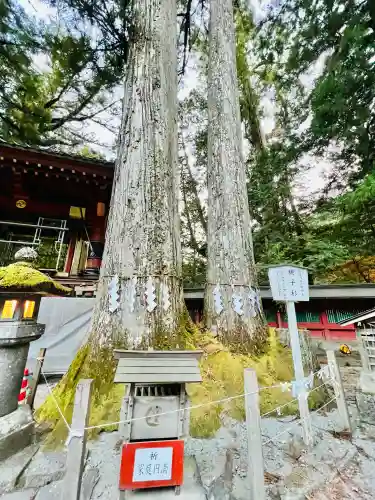 日光二荒山神社の{uncategorized: "未分類", other: "その他", undefined: "問題あり", building: "その他建物", grave: "お墓", sacred_gate: "鳥居", guardian: "狛犬", statue: "像", buddha: "仏像", history: "歴史", nature: "自然", garden: "庭園", animal: "動物", pagoda: "塔", temizu: "手水舎", mountain_gate: "山門・神門", sanctuary: "本殿・本堂", subordinate: "末社・摂社", art: "芸術", scenery: "景色", jizo: "地蔵", ema: "絵馬", goshuin: "御朱印", omikuji: "おみくじ", items: "授与品その他", amulet: "お守り", goshuincho: "御朱印帳", eats: "食事", festival: "お祭り", votive_dance: "神楽", shichigosan: "七五三参", wedding: "結婚式", experience: "体験その他", initially: "初詣", around: "周辺", anti_infection: "感染症対策"}