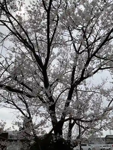 田縣神社(愛知県)