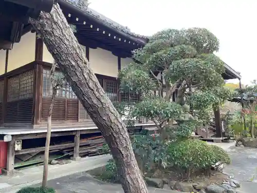 延仁寺(京都府)