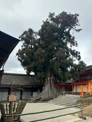 春日大社(奈良県)