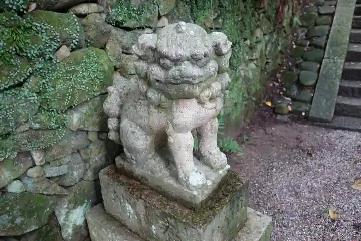 金剛寺の狛犬