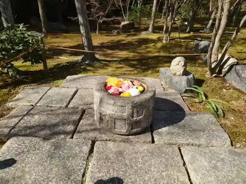 勝林寺(京都府)