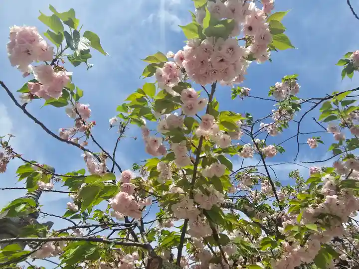 新薬師寺(奈良県)