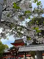 石清水八幡宮(京都府)