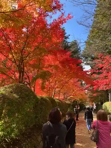 高野山金剛峯寺奥の院(和歌山県)